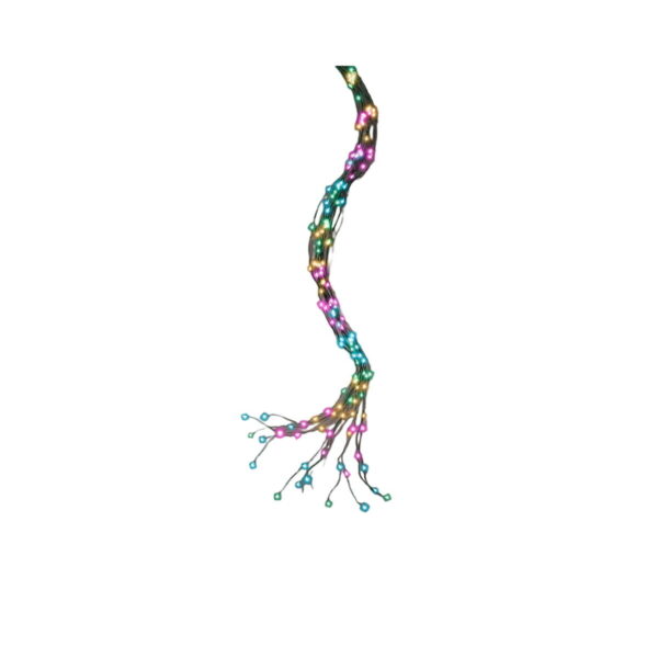 S7924591_0