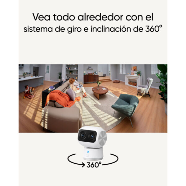 S55305347_33