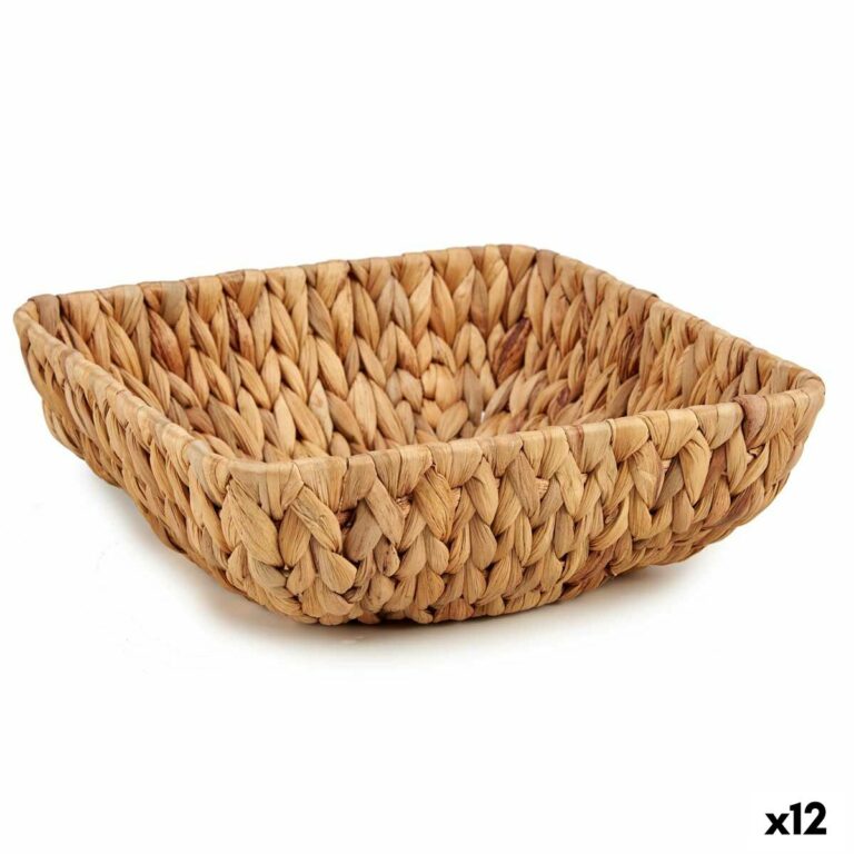 S3618342_0