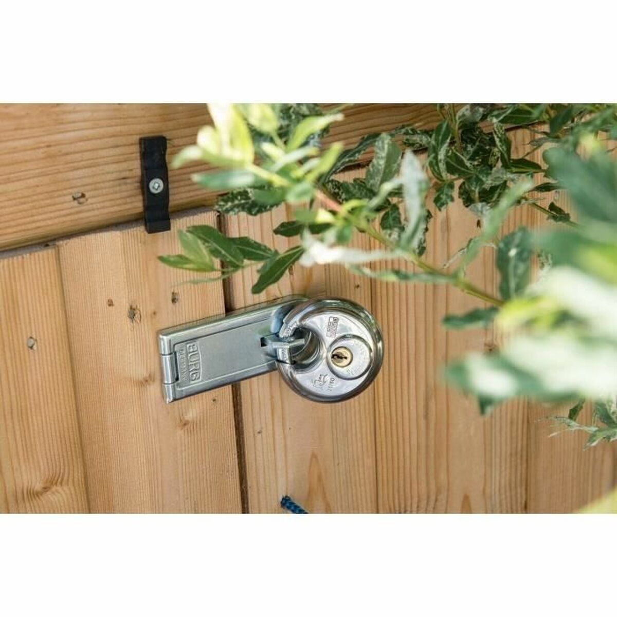 Candado de llave Burg-Wachter 21 70 SB Acero Inoxidable 6 S71007360_5