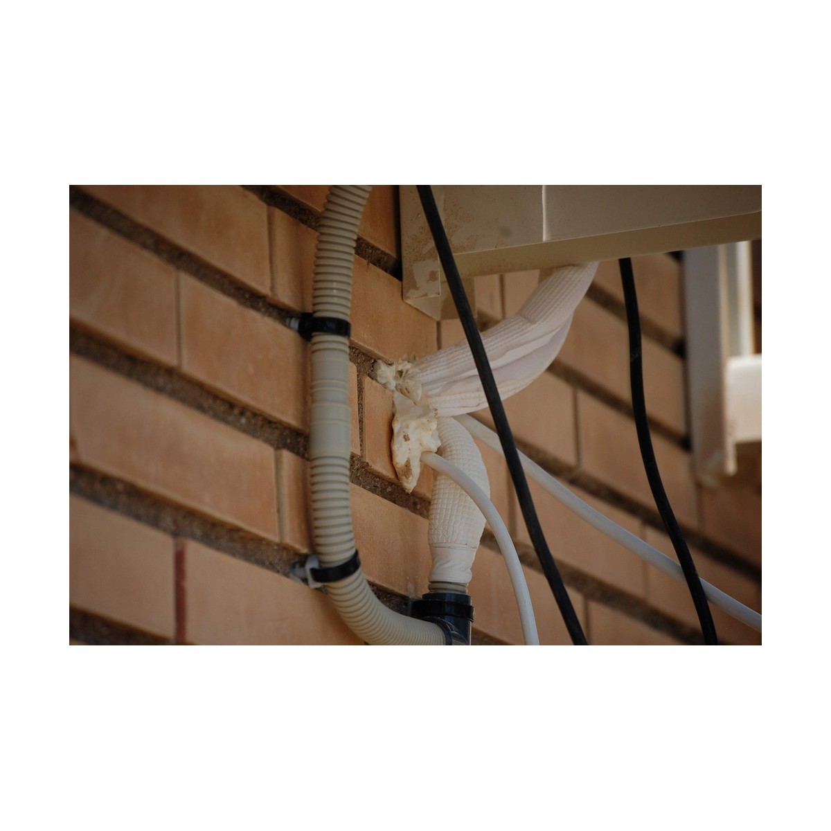 Pistola cañón de espuma Fischer pup k2 62400 5 S7903016_4