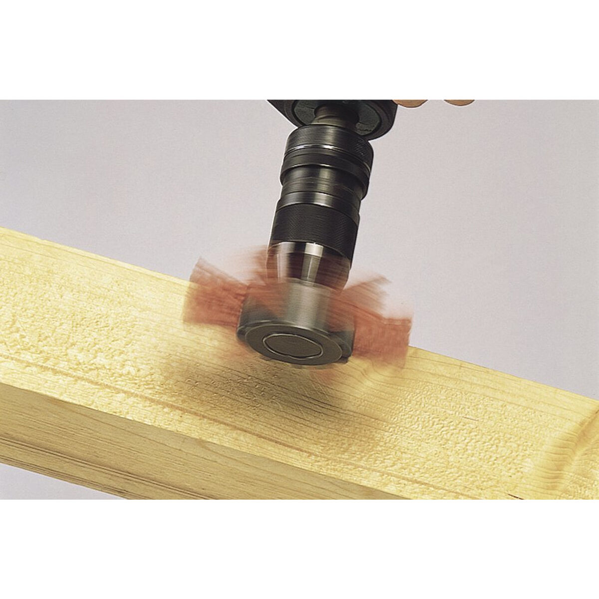 Cepillo de copa Wolfcraft 1512000 100 x 20 mm Nailon 2 S7917583_1