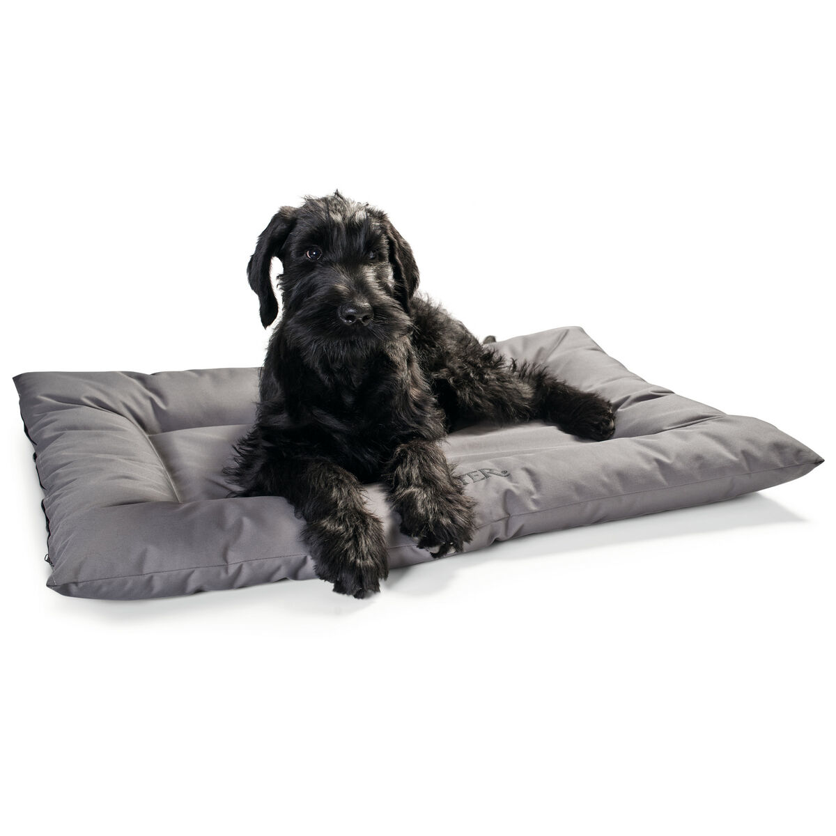Cama para Perro Hunter Gris 100 x 70 cm 4 S6102622_3