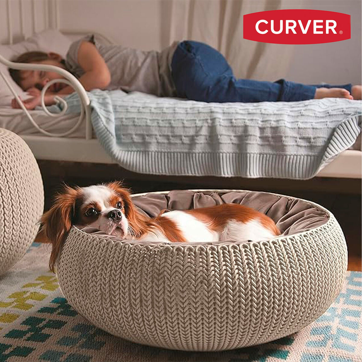 Caseta Curver Arena (Arena) 2 S8906480_1