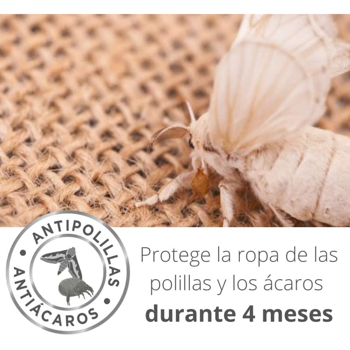 Antipolillas Orion Lavanda 7 S7928545_6