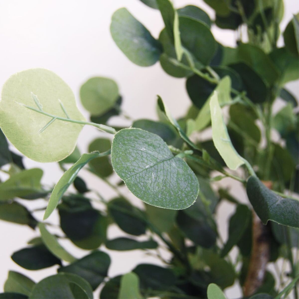 Árbol Home ESPRIT Poliéster Madera Cemento Eucalipto 90 x 90 x 180 cm 3 S3057305_2