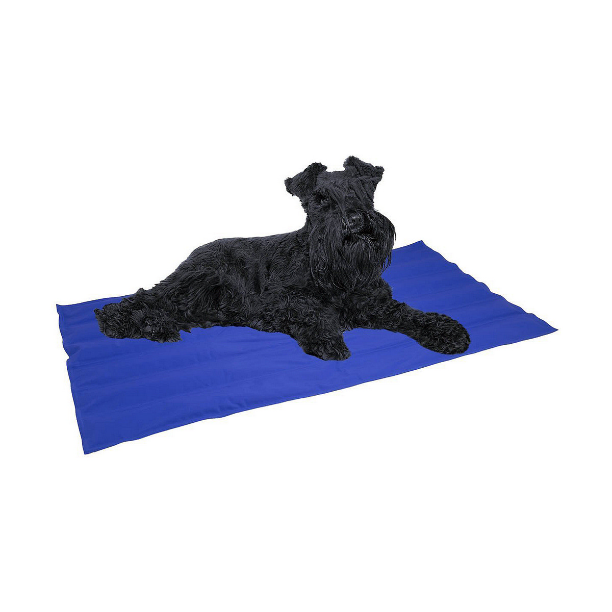 Alfombra para perros Nayeco Azul Gel refrigerante (50 x 90 cm) 2 S7908718_1