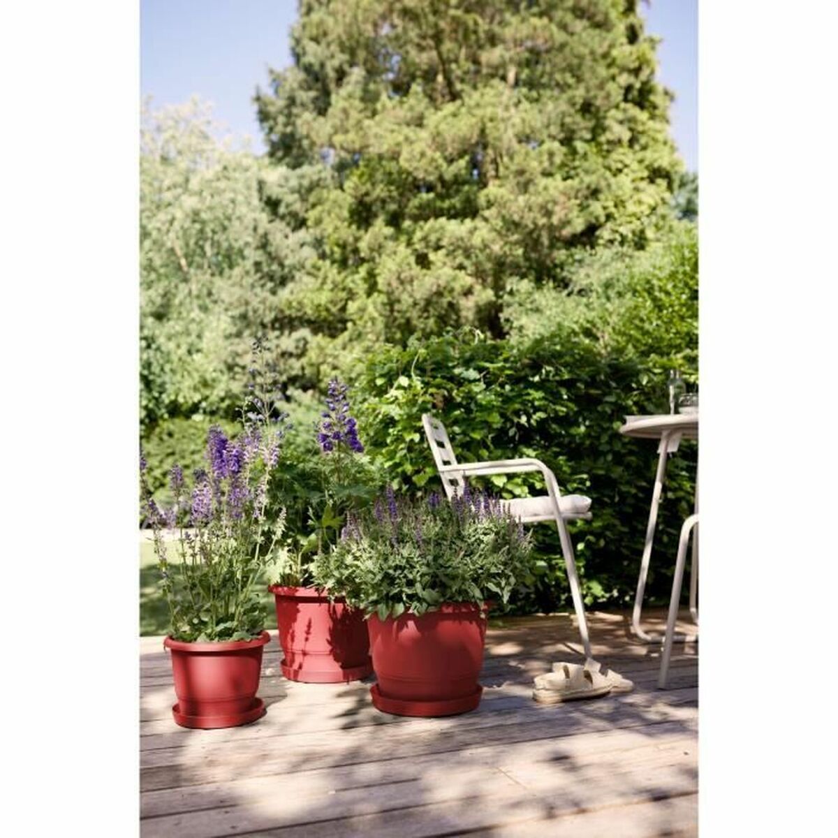 Maceta Elho rouge 35 x 34,5 x 26 cm 2 S71013106_1