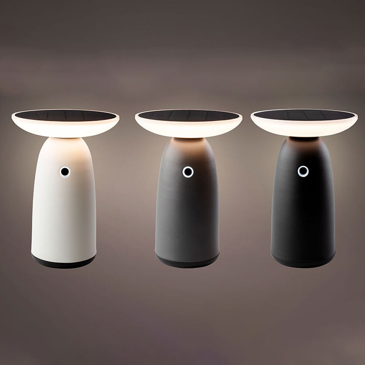 Lámpara solar Lumineo 897850 22 cm Control táctil 2 S7922434_1