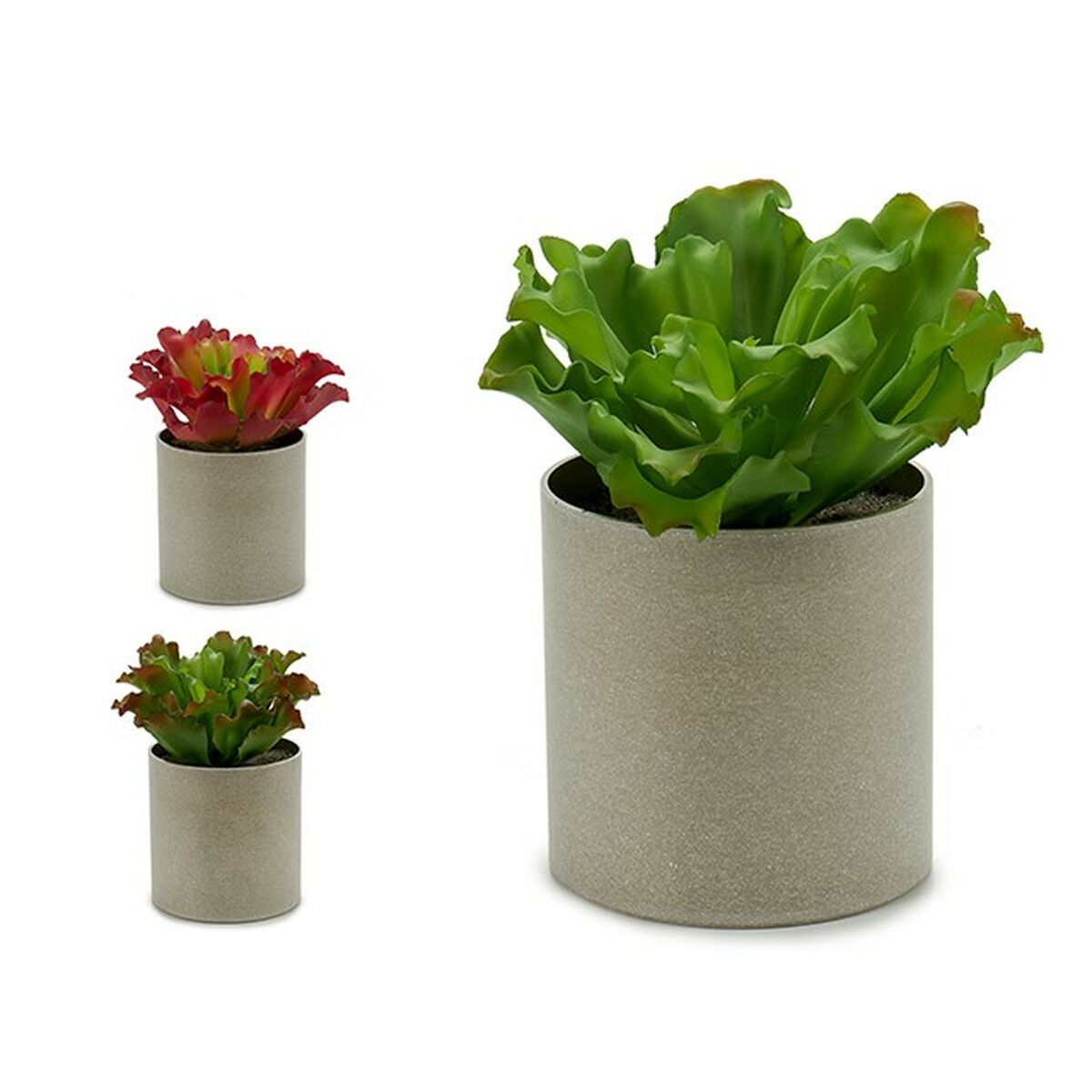 Planta Decorativa Ibergarden 20 x 25 x 20 cm (6 Unidades) 2 S3623998_1