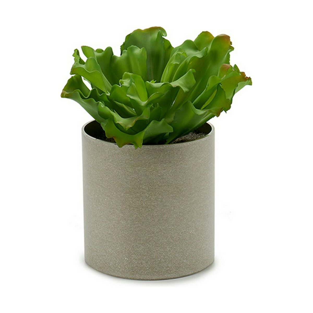 Planta Decorativa Ibergarden 20 x 25 x 20 cm (6 Unidades) 3 S3623998_2