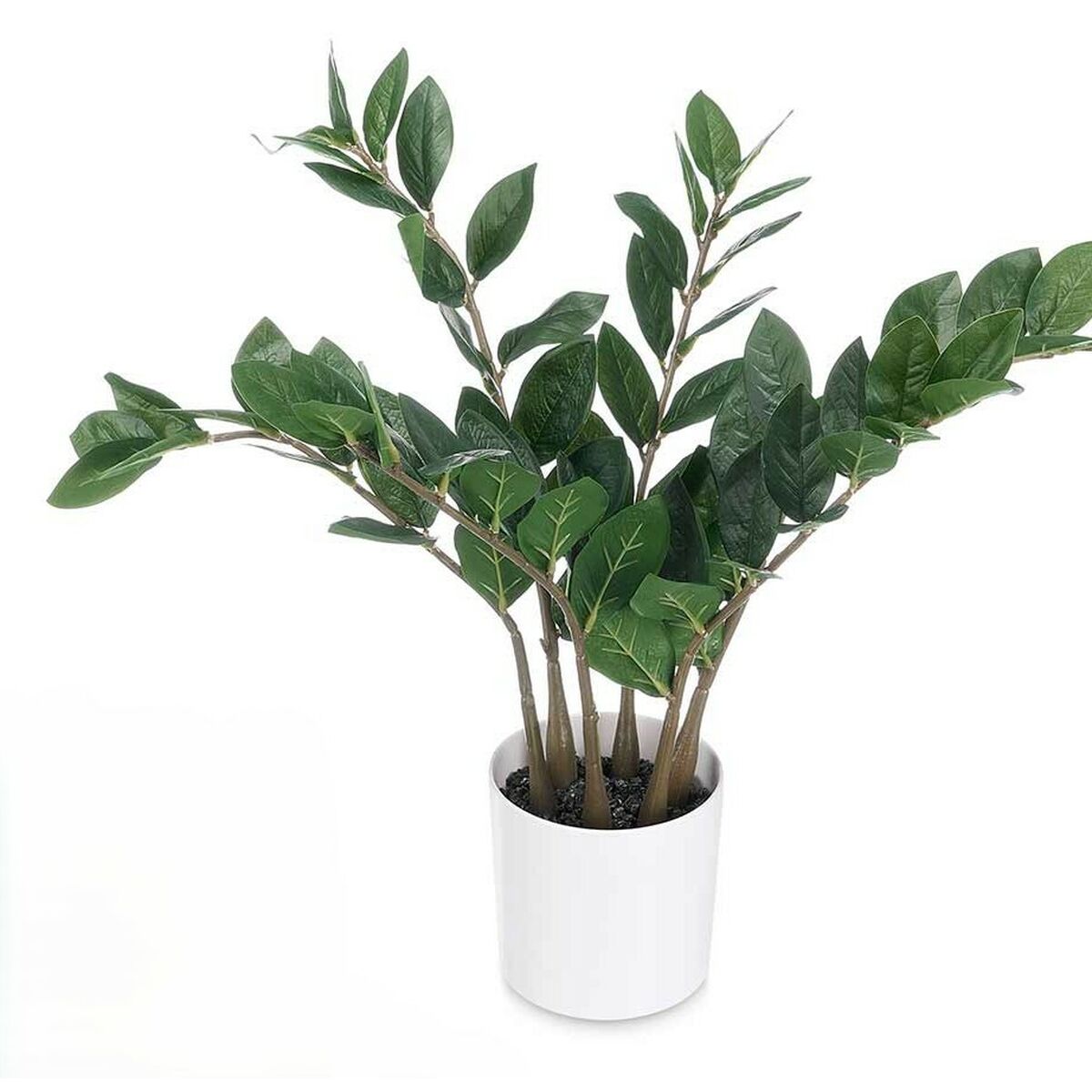 Planta Decorativa Ibergarden ZAMIOCULCA Polietileno Melamina 53 x 55 x 53 cm (6 Unidades) 2 S3633942_1