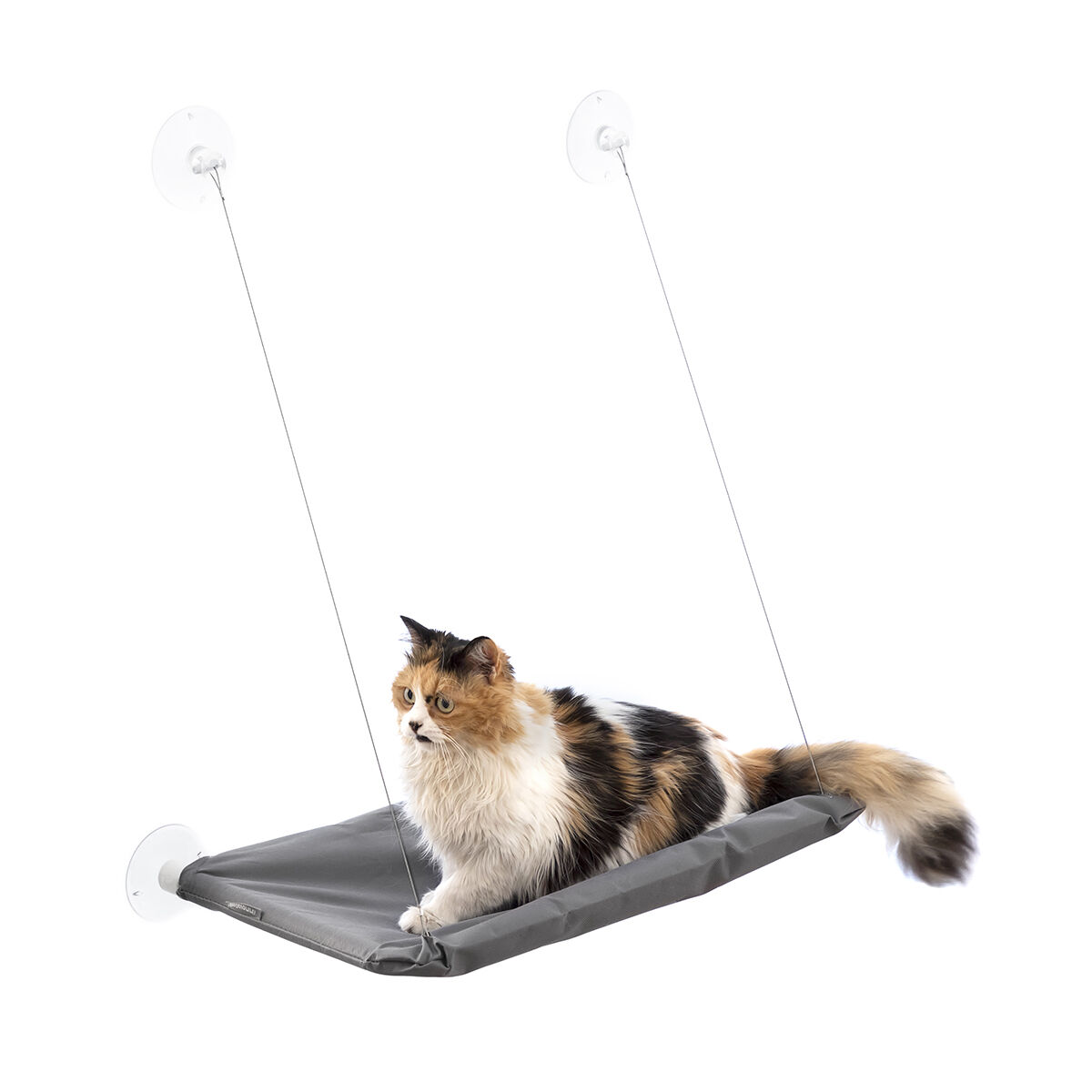 Hamaca Colgante para Gatos Catlax InnovaGoods 7 V0103474_6
