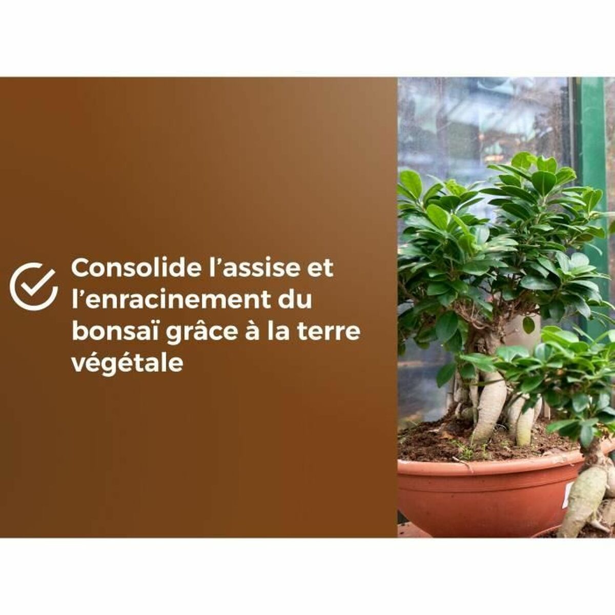 Tierra para macetas OR BRUN BROWN GOLD 6 L 6 S71013689_5