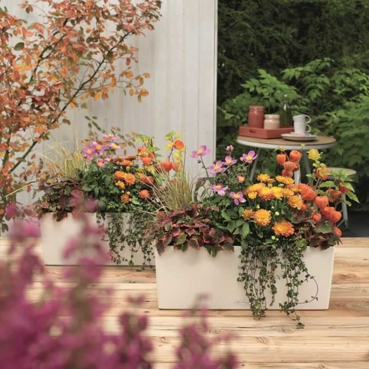 Maceta Lechuza Blanco Negro Polipropileno 7 S71018822_6