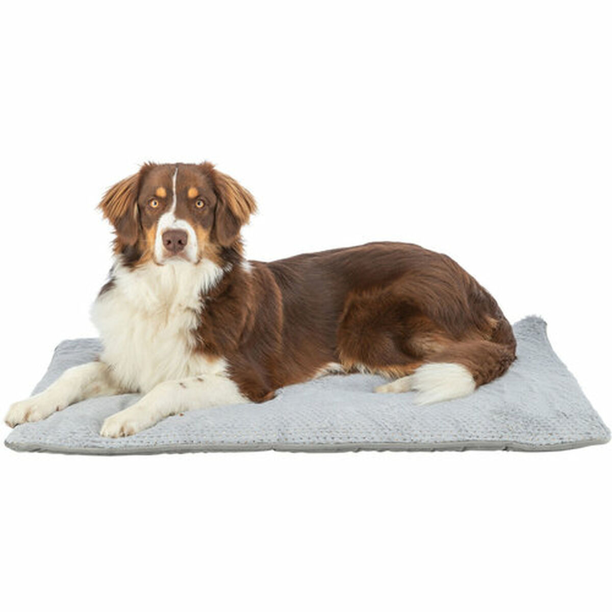 Cama para Perro Trixie Livia Soft Gris 90 x 60 cm 6 M0609027_5