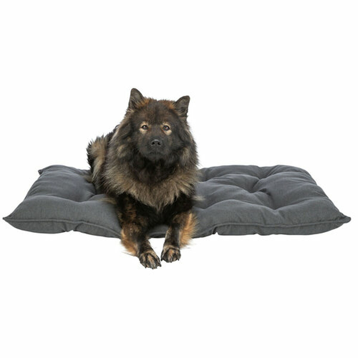 Cama para Perro Trixie Gris oscuro 78 x 60 cm 8 M0609369_7