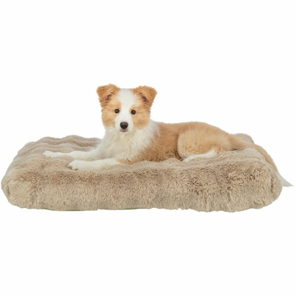 Cojín para Perro Trixie Elli Arena 80 x 60 cm 4 M0609299_3