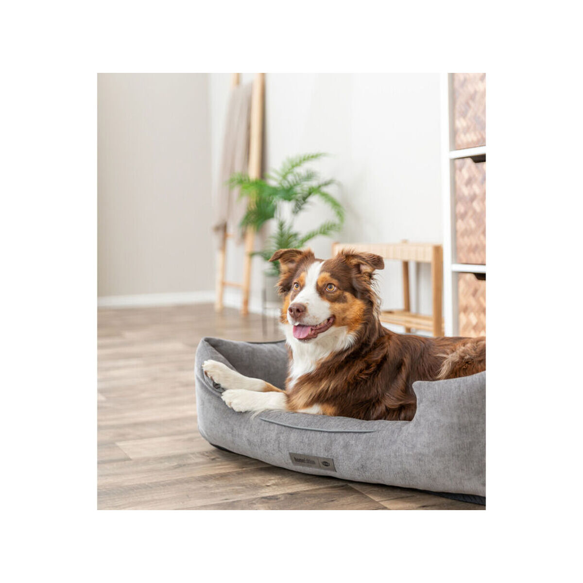 Cama para Perro Trixie Vital Lennox Gris 60 x 50 cm 5 M0609571_4