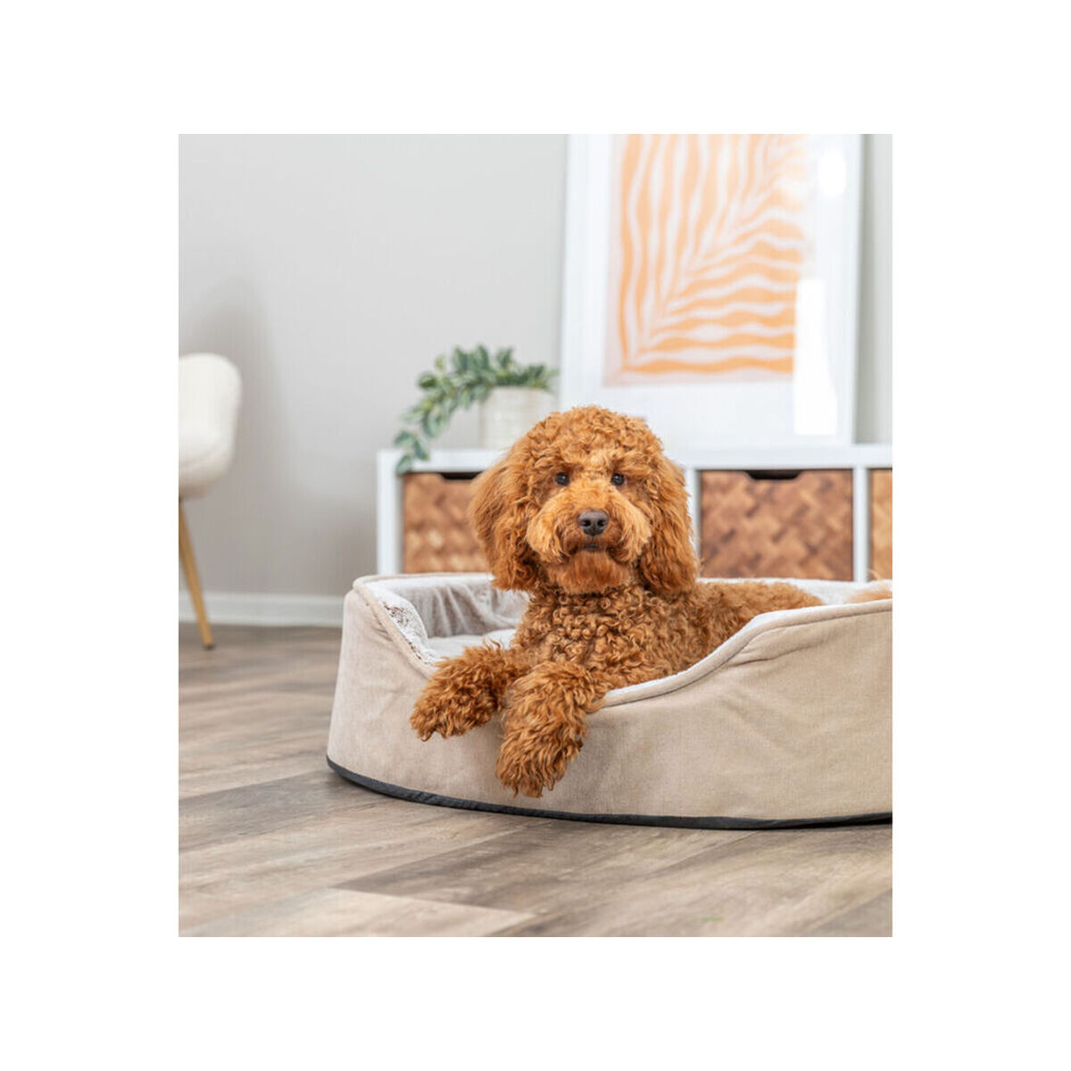 Cama para Perro Trixie Vital Lino Soft Beige Crema 110 X 92 CM 6 M0609598_5