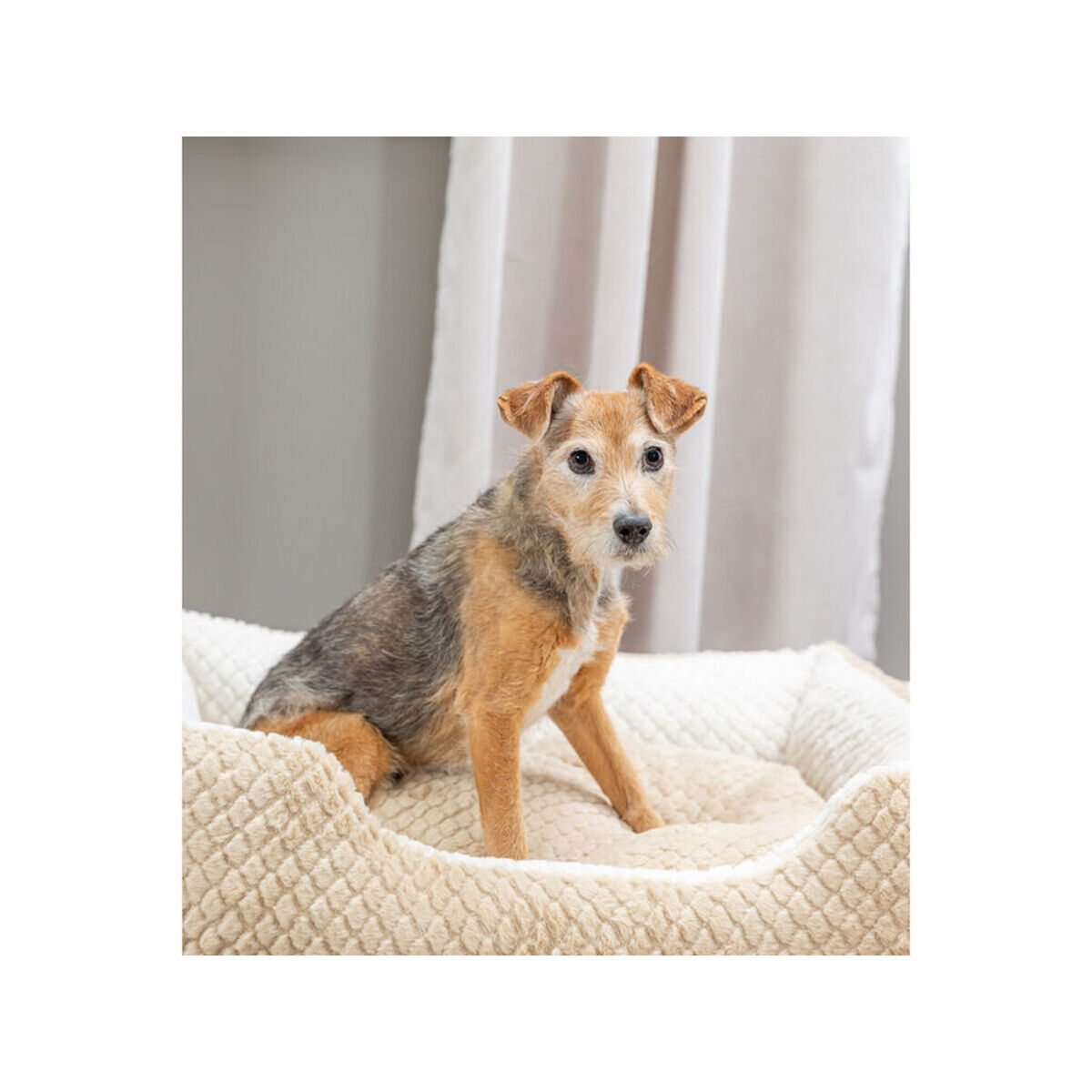 Cama para Perro Trixie Kaline Mio Marrón Crema 50 x 40 cm 13 M0609608_12