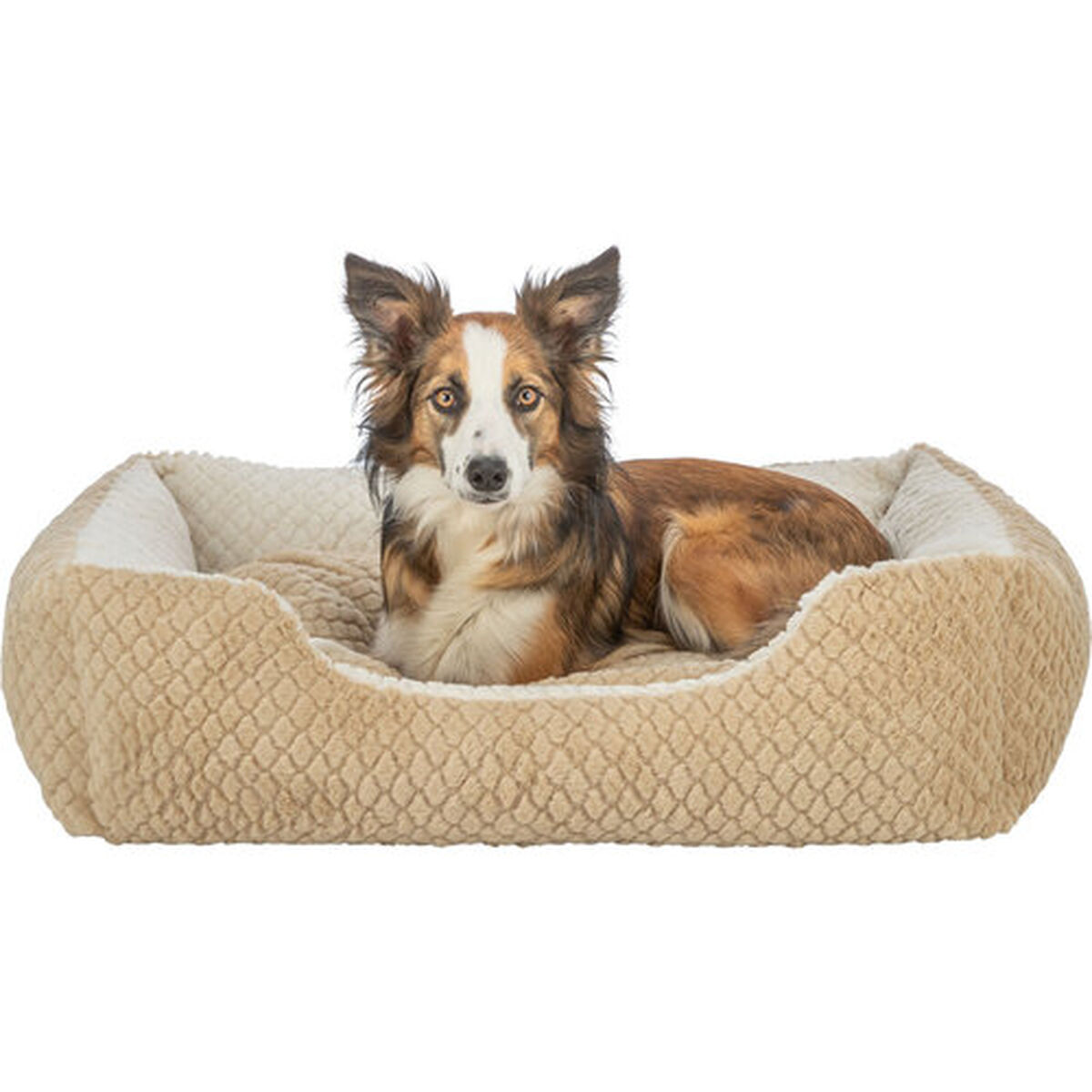 Cama para Perro Trixie Kaline Mio Marrón Crema 80 x 65 cm 8 M0609610_7