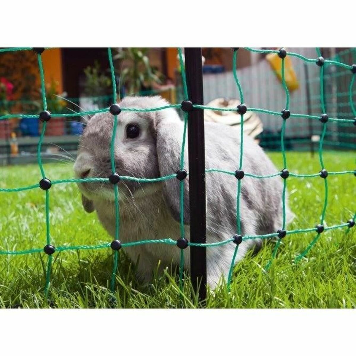 Red de Seguridad para Mascotas Kerbl Verde 3 S71003557_2