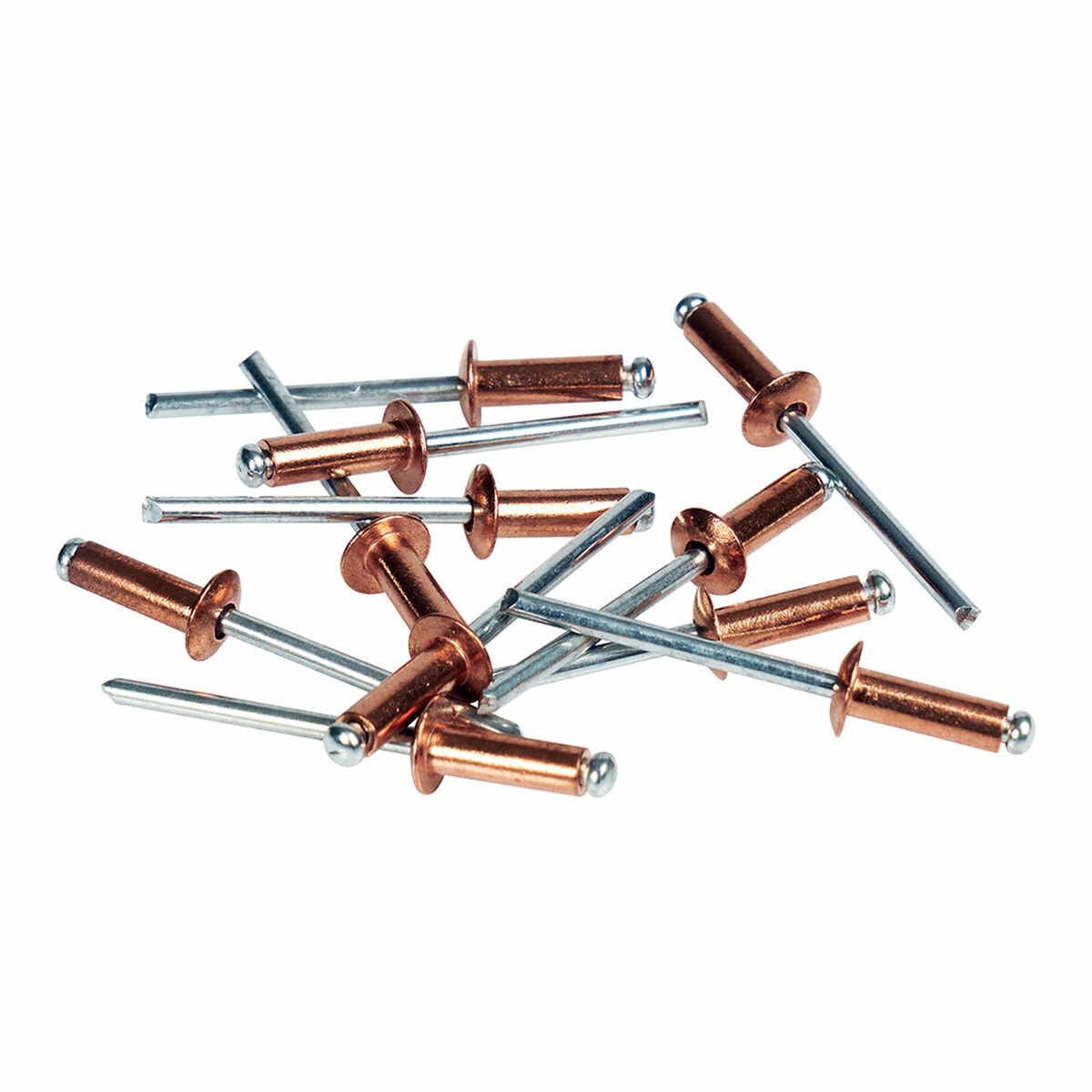 Remaches Rapid Broca 11 S71015530_10