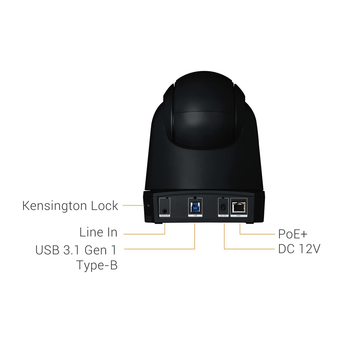 Webcam AVer DL30 2 M0313983_1