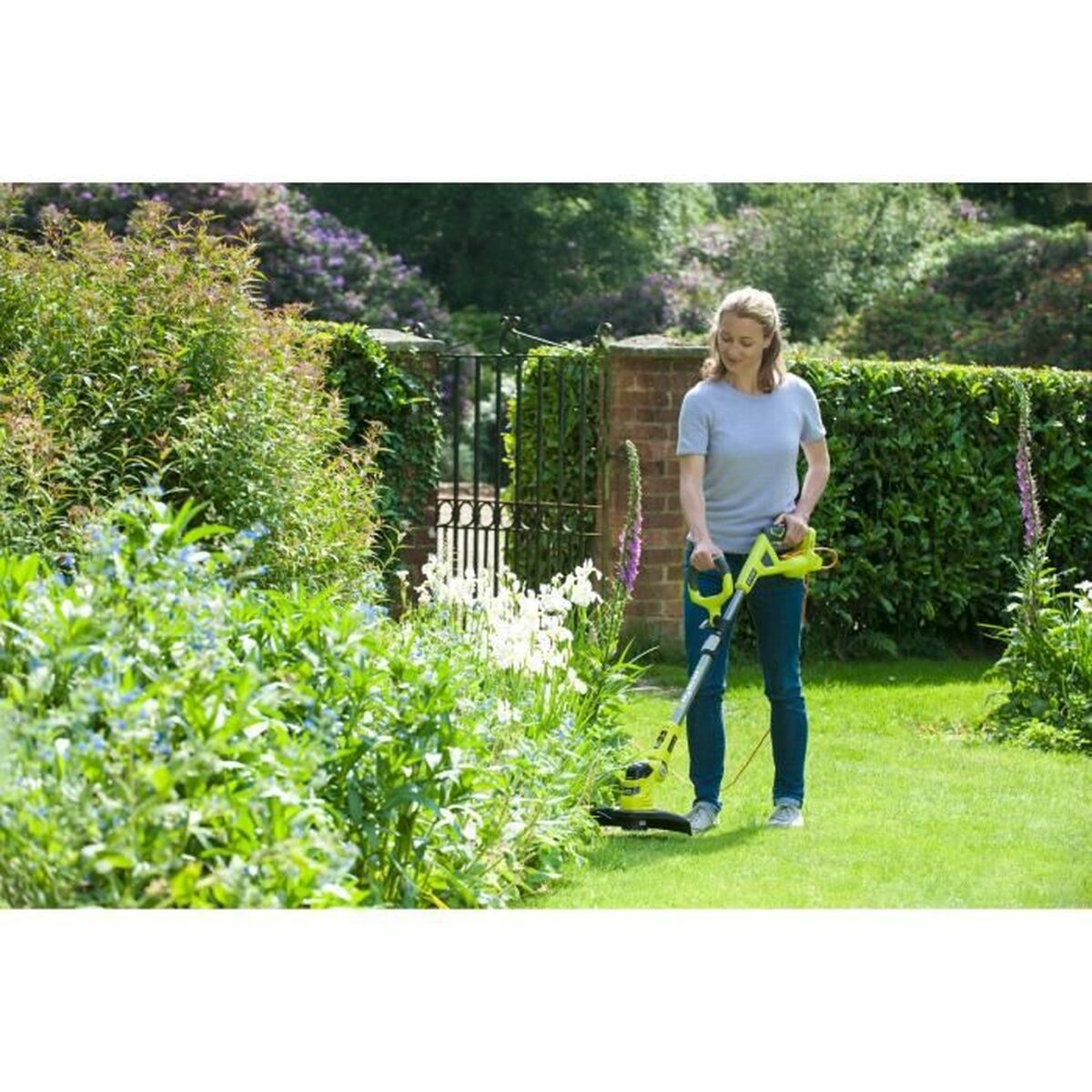 Cortabordes Ryobi RLT1831H25F 2,5 Ah 2 S9906235_1