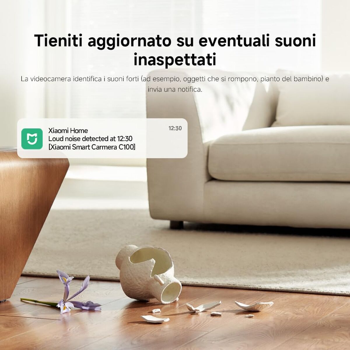 Videocámara de Vigilancia Xiaomi C100 10 S8111413_9