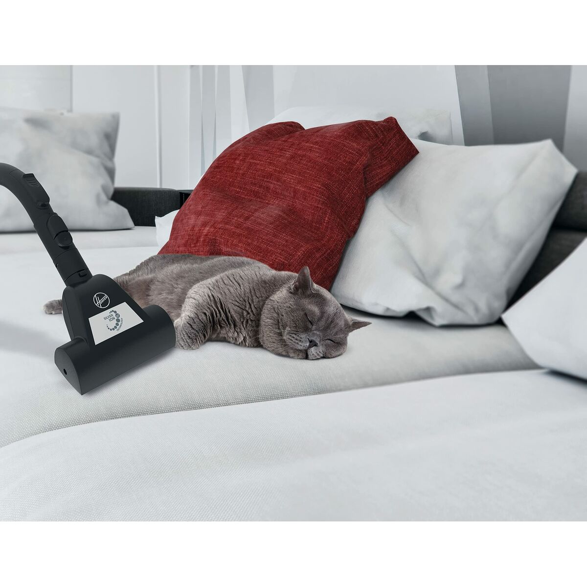 Aspirador Hoover Verde 850 W 6 S6505327_5