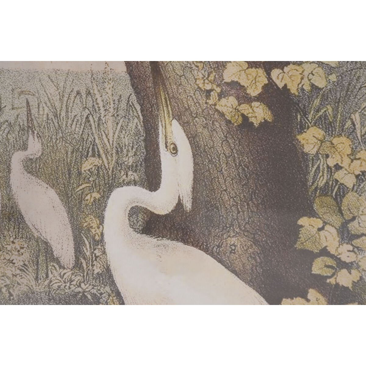 Cuadro Home ESPRIT Cristal Abeto 40 X 2,5 X 55 cm (6 Unidades) 3 S3062606_2