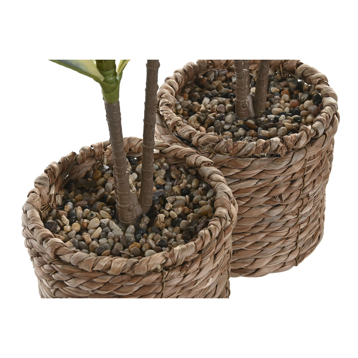 Planta Decorativa Home ESPRIT Polietileno Fibra 30 x 30 x 75 cm (2 Unidades) 3 S3063053_2
