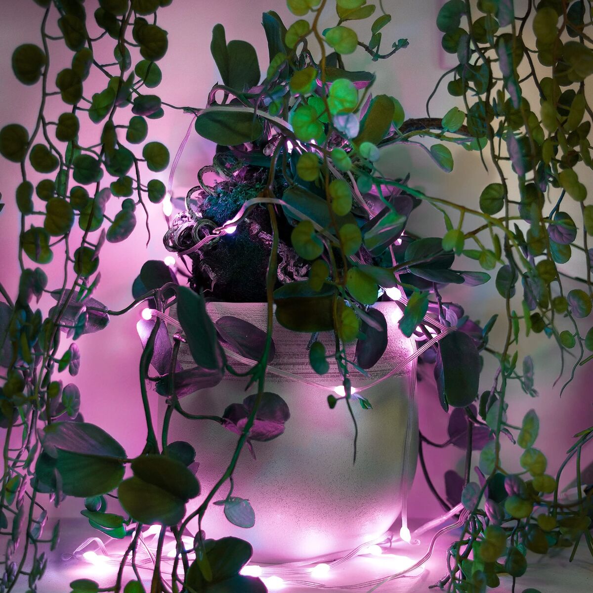 muvit iO Guirnalda WiFi Dreamcolor Mini LED RGB 5m 11 M1300342_10