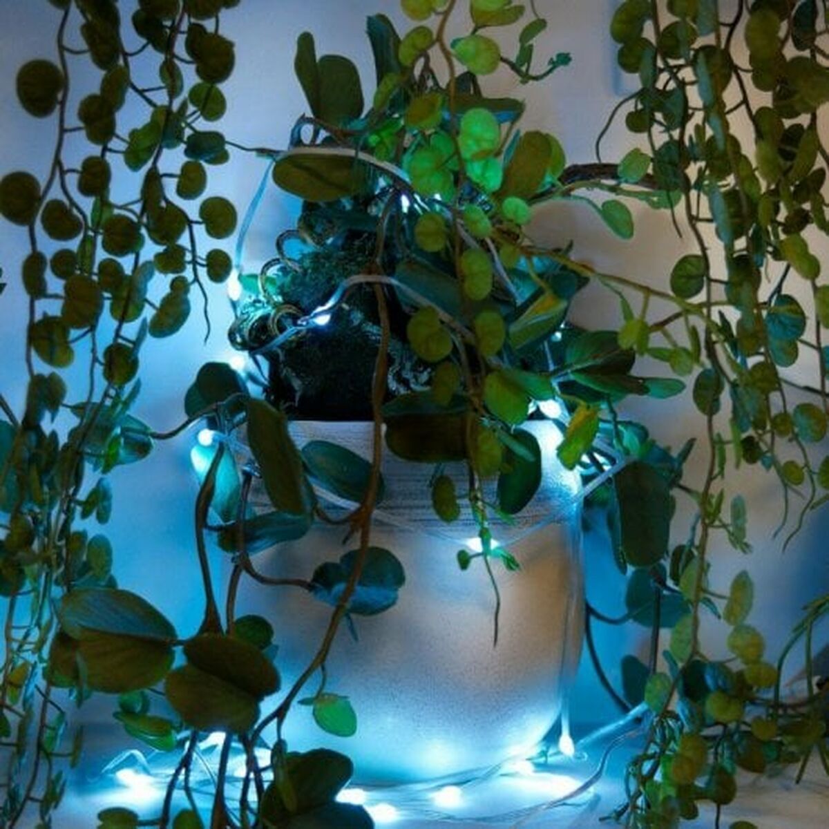 muvit iO Guirnalda WiFi Dreamcolor Mini LED RGB 5m 7 M1300342_6