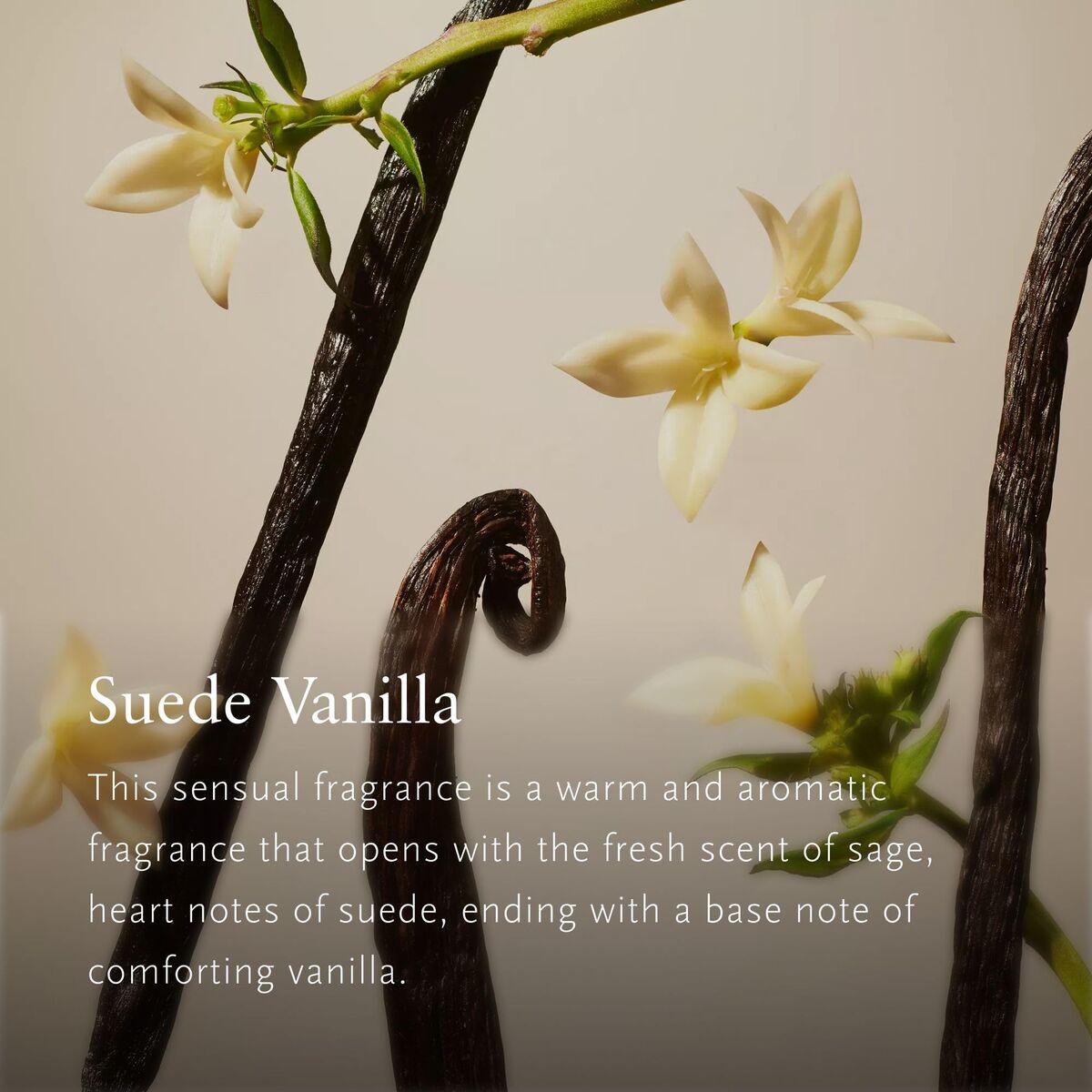 Set de Regalo Rituals Rituals Private Suede Vanilla 3 Piezas 3 M0126656_2